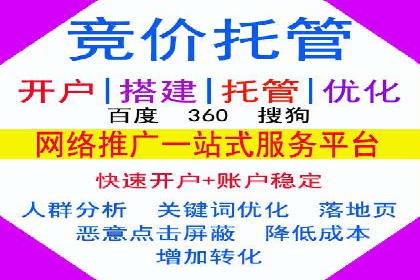 百度推广排名案例报告：某行业巨头如何运用其占领市场高地